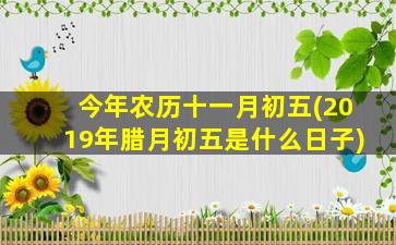 今年农历十一月初五(2019年腊月初五是什么日子)