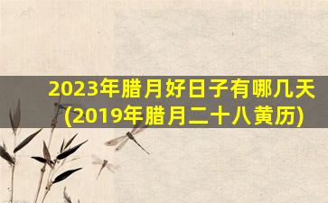 2023年腊月好日子有哪几天(2019年腊月二十八黄历)