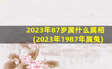 <b>2023年87岁属什么属相(2023年1987年属兔)</b>