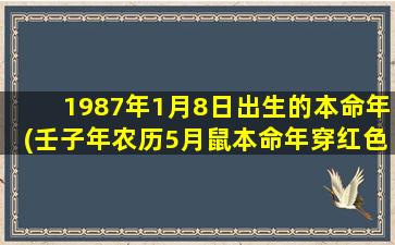 1987年1月8日出生的本命年(壬子年农历5月鼠本命年穿红色吗)