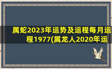 属蛇2023年运势及运程每月