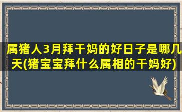 属猪人3月拜干妈的好日子是哪几天(猪宝宝拜什么属相的干妈好)