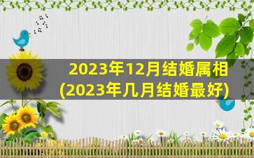 2023年12月结婚属相(2023年几月结婚最好)