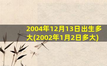 2004年12月13日出生多大(2002年1月2日多大)