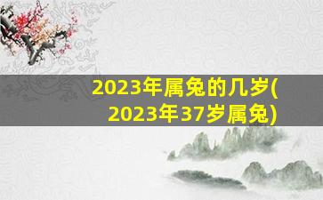 2023年属兔的几岁(2023年37岁属兔)