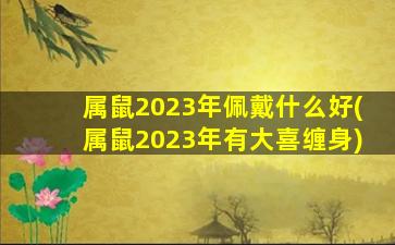 属鼠2023年佩戴什么好(属鼠