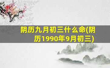 阴历九月初三什么命(阴历1990年9月初三)