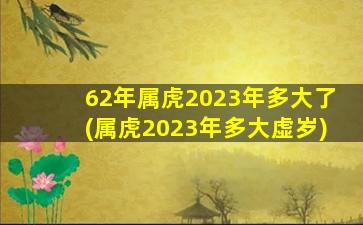 62年属虎2023年多大了(属虎2023年多大虚岁)