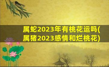 属蛇2023年有桃花运吗(属猪