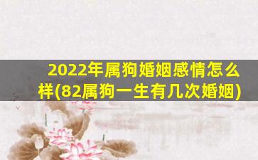 2022年属狗婚姻感情怎么