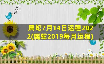 属蛇7月14日运程2022(属蛇