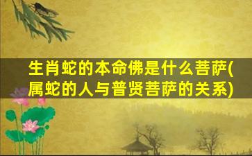 <strong>生肖蛇的本命佛是什么菩</strong>