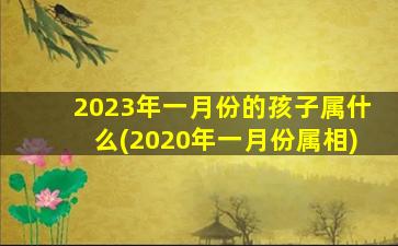 2023年一月份的孩子属什么(2020年一月份属相)