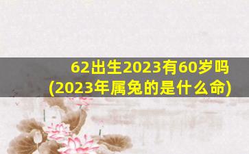 62出生2023有60岁吗(2023年属兔的是什么命)