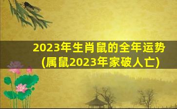 2023年生肖鼠的全年运势