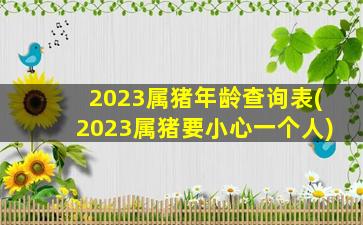 2023属猪年龄查询表(202