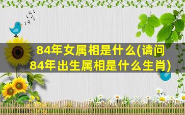 84年女属相是什么(请问84年出生属相是什么生肖)