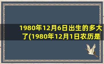 1980年12月6日出生的多大了(1980年12月1日农历是多少)