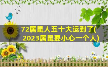 72属鼠人五十大运到了(2