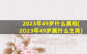 2023年49岁什么属相(2O23年49岁属什么生肖)