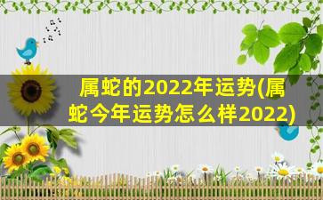 属蛇的2022年运势(属蛇今年