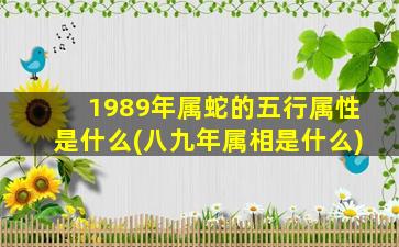 1989年属蛇的五行属性是什