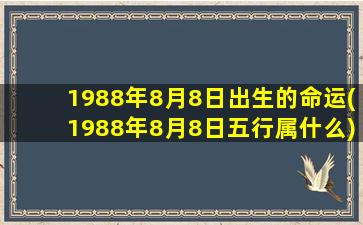 1988年8月8日出生的命运(1988年8月8日五行属什么)