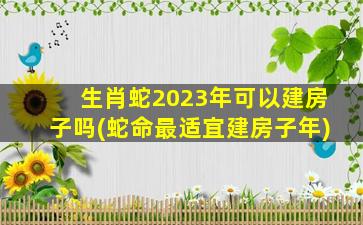 生肖蛇2023年可以建房子