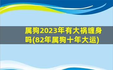 属狗2023年有大祸缠身吗