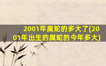 2001年属蛇的多大了(2001年