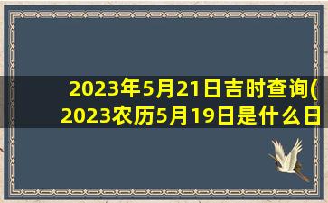 2023年5月21日吉时查询(2023农历5月19日是什么日子)