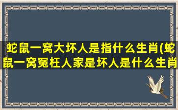 蛇鼠一窝大坏人是指什么