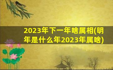 2023年下一年啥属相(明年是什么年2023年属啥)