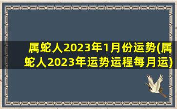 属蛇人2023年1月份运势(属