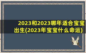 2023和2023哪年适合宝宝出生(2023年宝宝什么命运)