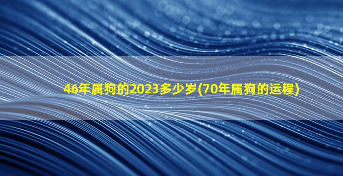 46年属狗的2023多少岁(70年属狗的运程)