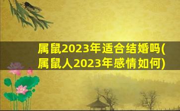 属鼠2023年适合结婚吗(属鼠