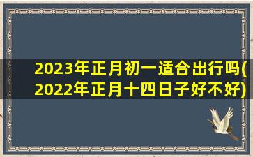 2023年正月初一适合出行吗(2022年正月十四日子好不好)