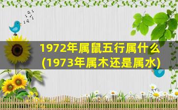 1972年属鼠五行属什么(19