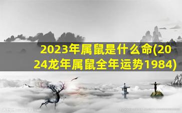 2023年属鼠是什么命(202