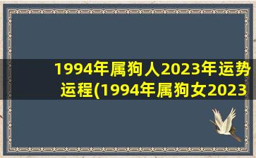 1994年属狗人2023年运势运程