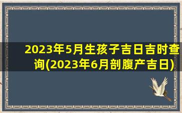 2023年5月生孩子吉日吉时查询(2023年6月剖腹产吉日)