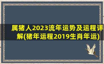 <strong>属猪人2023流年运势及运程</strong>