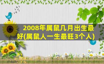 2008年属鼠几月出生最好