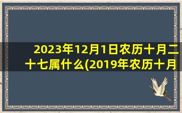 2023年12月1日农历十月二十七属什么(2019年农历十月一日是几月几号)