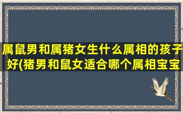 属鼠男和属猪女生什么属相的孩子好(猪男和鼠女适合哪个属相宝宝)