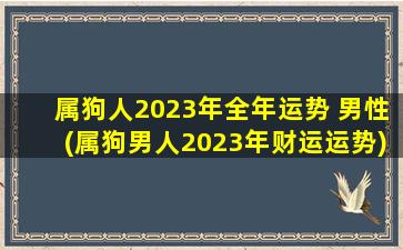 属狗人2023年全年运势 男性