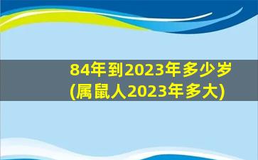 84年到2023年多少岁(属鼠人2023年多大)