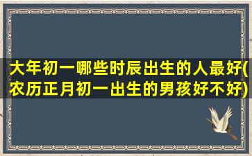 大年初一哪些时辰出生的人最好(农历正月初一出生的男孩好不好)