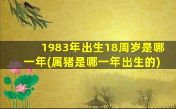 1983年出生18周岁是哪一年(属猪是哪一年出生的)